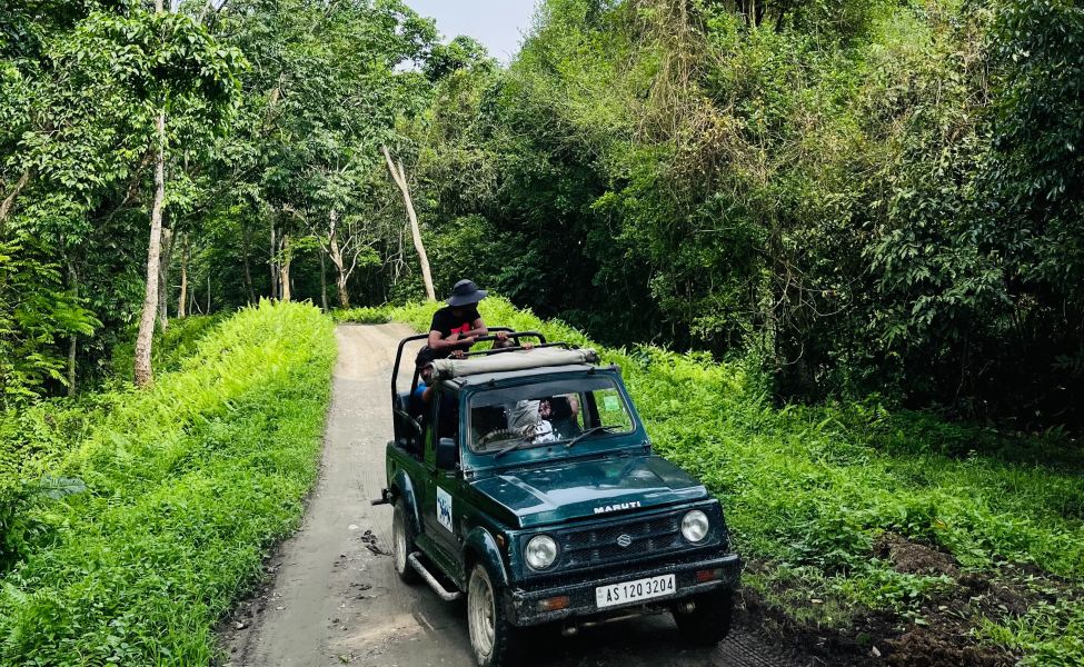 jeep safari timings in kaziranga